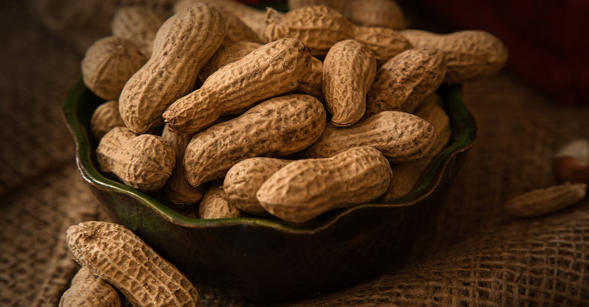 découvrez nos barres protéinées savoureuses, idéales pour un encas sain ou après l’entraînement. riches en protéines et faciles à emporter, elles boostent votre énergie tout en soutenant vos objectifs nutritionnels.