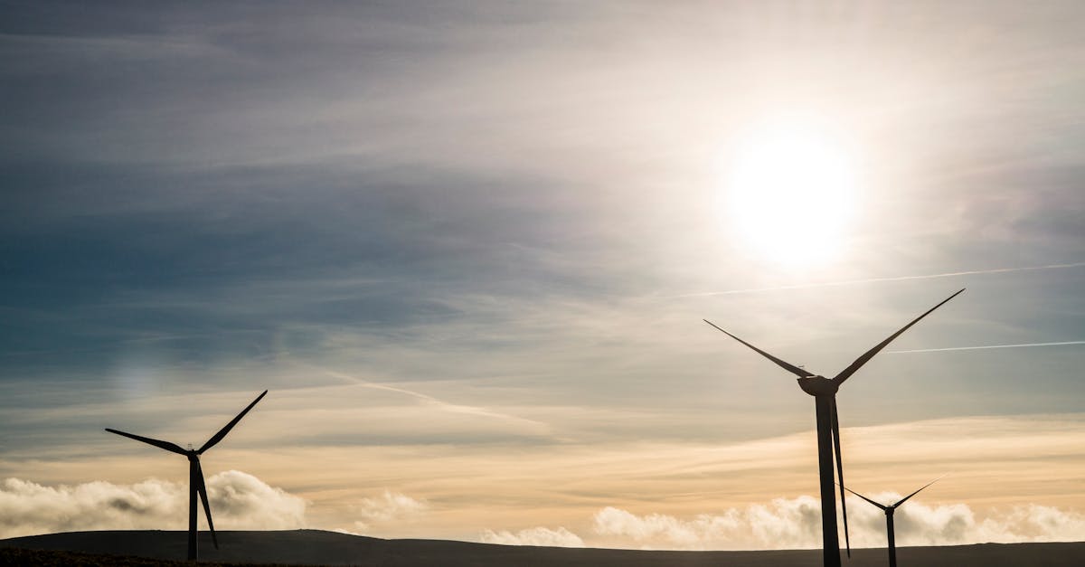 découvrez comment adopter un mode de vie durable grâce à des conseils, astuces et actualités sur le développement durable, l’écoresponsabilité et les choix respectueux de l’environnement.