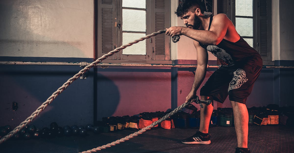 découvrez les meilleurs bcaa de 2025 pour optimiser votre récupération musculaire et améliorer vos performances sportives grâce à notre sélection experte.