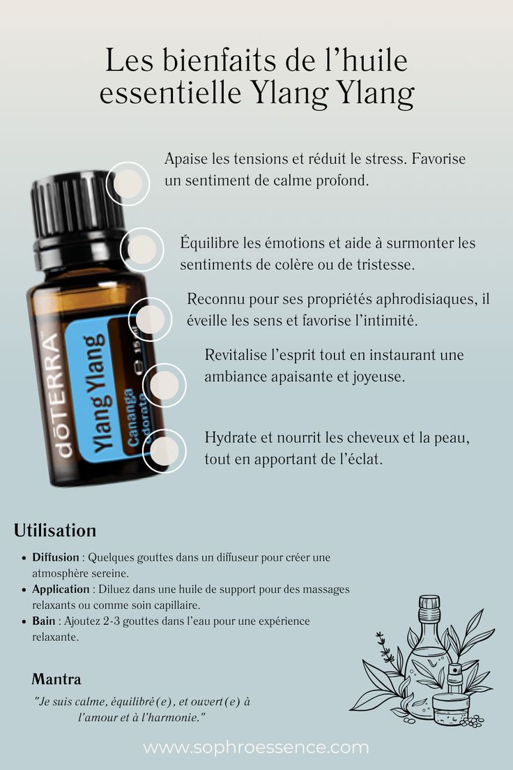 découvrez les bienfaits de l'huile essentielle d'ylang-ylang en 2025 : ses effets apaisants, ses vertus pour la peau et l'esprit, et comment l'intégrer facilement à votre routine bien-être.