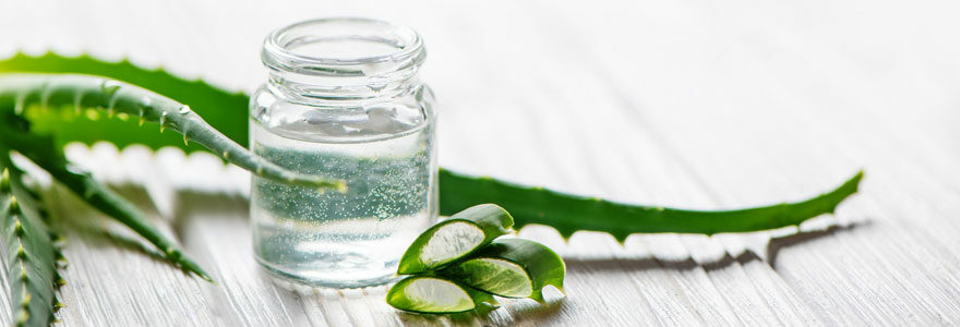 découvrez les bienfaits du gel d’aloe vera en 2025 ainsi que les précautions à prendre pour une utilisation sûre et efficace. guide complet pour profiter pleinement de ses vertus naturelles.