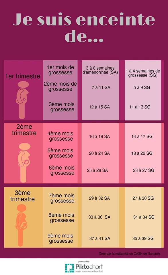 obtenez un calcul précis des semaines de grossesse pour suivre l'évolution de votre bébé et préparer chaque étape de cette merveilleuse aventure.