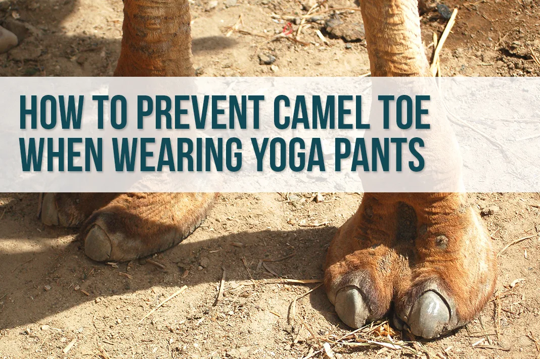 découvrez le phénomène mode 2025 : le camel toe, entre tendance audacieuse et débats fashion. analyse et conseils pour adopter ce style en toute confiance.