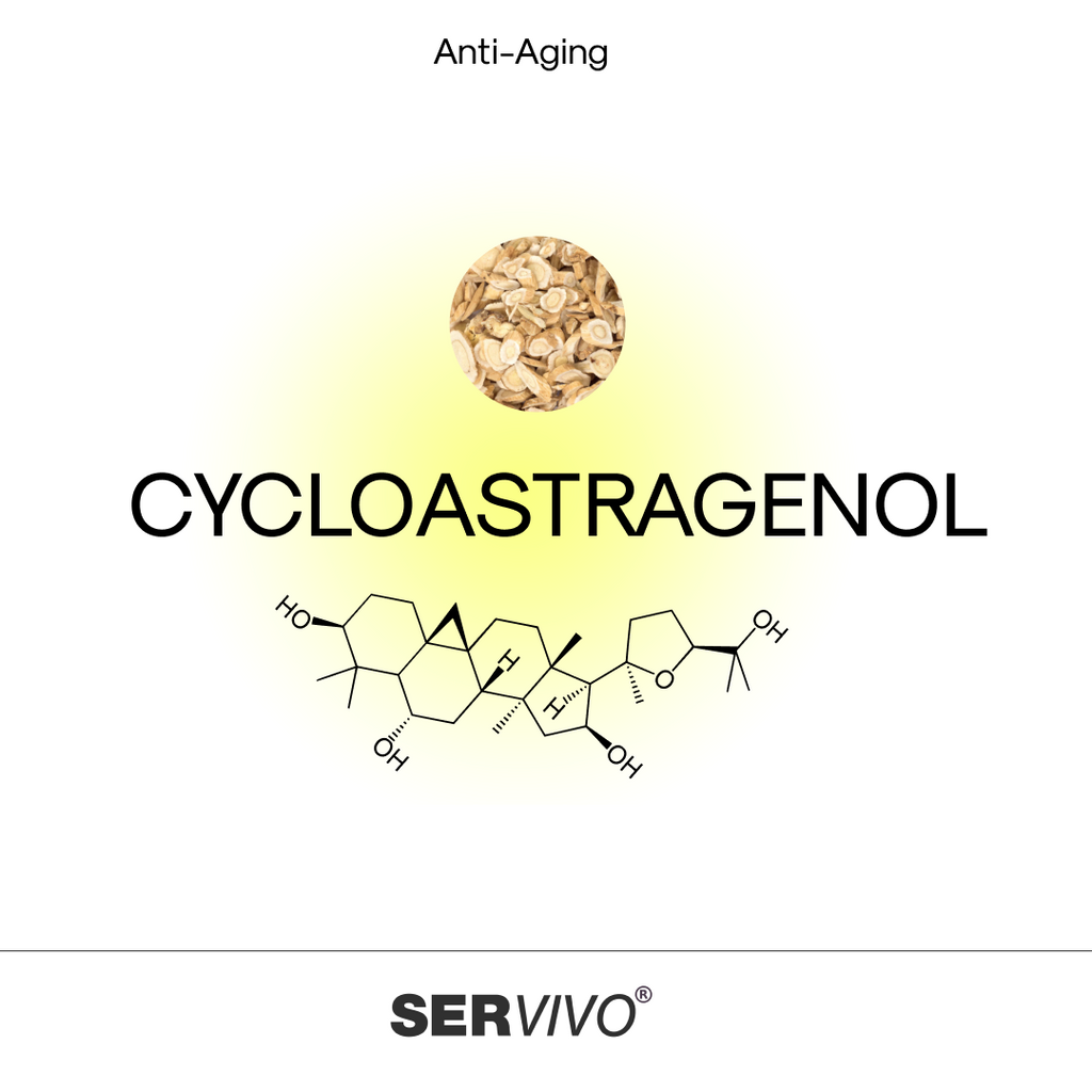 découvrez les bienfaits du cycloastragenol anti-âge en 2025, un puissant allié pour ralentir le vieillissement et revitaliser votre peau.