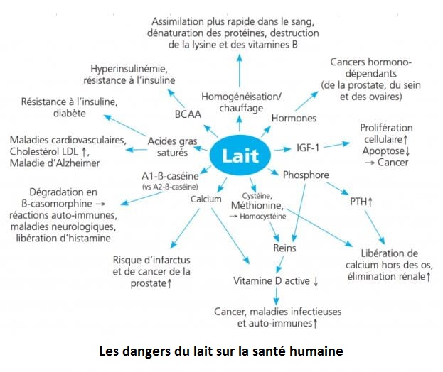 découvrez les dangers du café au lait en 2025 : effets sur la santé, risques potentiels et conseils pour une consommation sécurisée.
