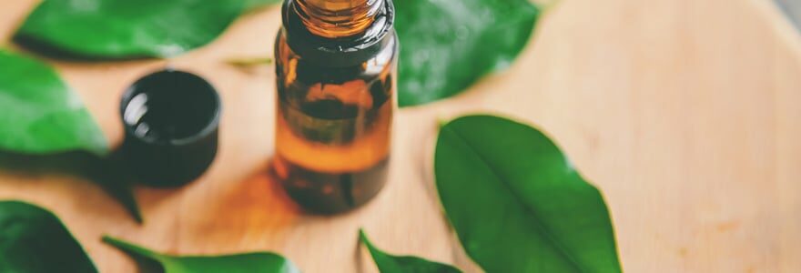 découvrez comment utiliser quotidiennement l'huile essentielle de tea tree pour ses bienfaits naturels antibactériens, purifiants et réparateurs sur la peau et le bien-être.